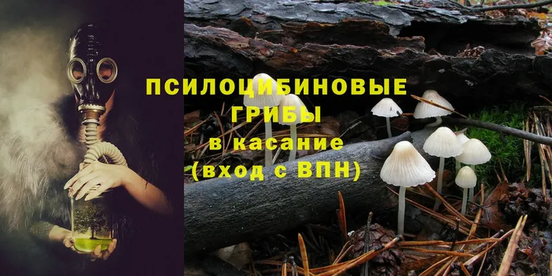 Галлюциногенные грибы Magic Shrooms  Белозерск 